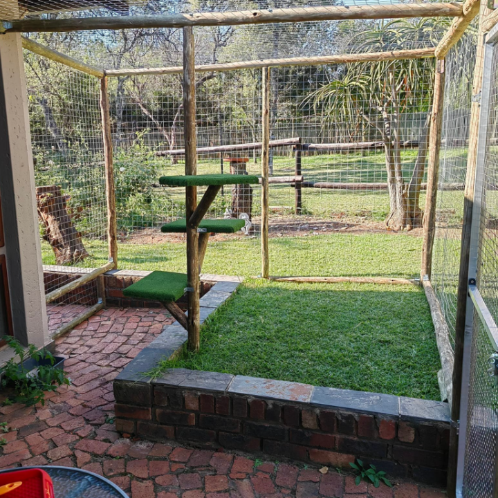 Catio 27