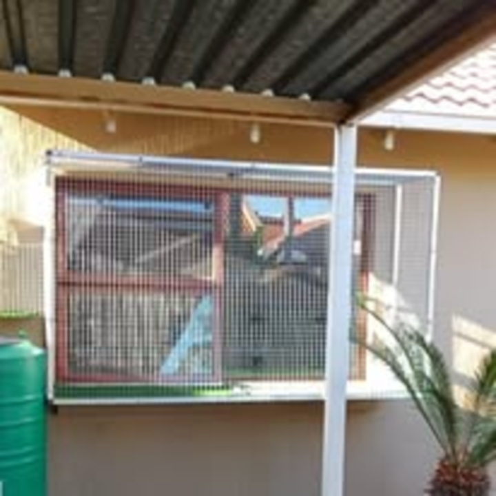 Window Catio 9